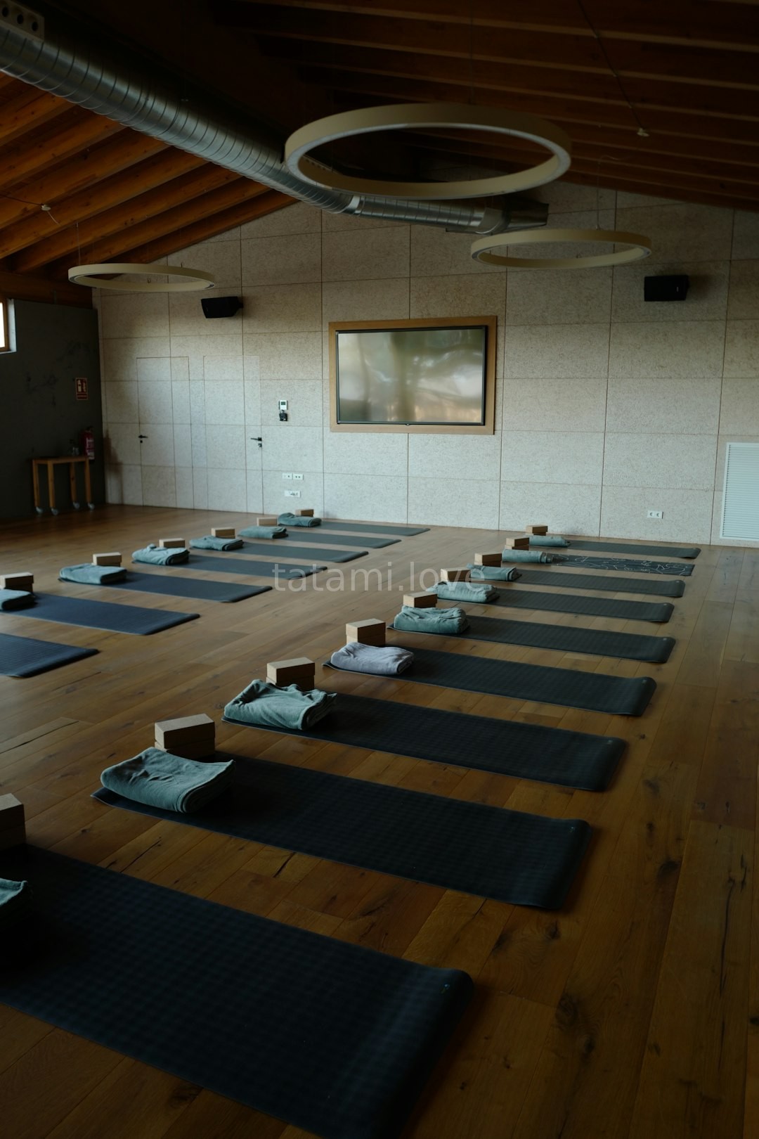Vinyasa